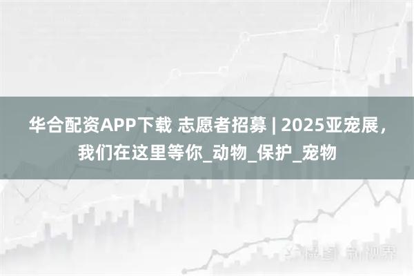 华合配资APP下载 志愿者招募 | 2025亚宠展，我们在这里等你_动物_保护_宠物