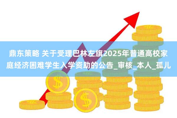 鼎东策略 关于受理巴林左旗2025年普通高校家庭经济困难学生入学资助的公告_审核_本人_孤儿