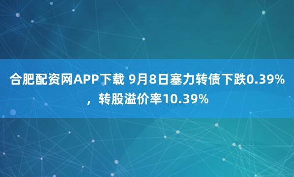 合肥配资网APP下载 9月8日塞力转债下跌0.39%，转股溢价率10.39%